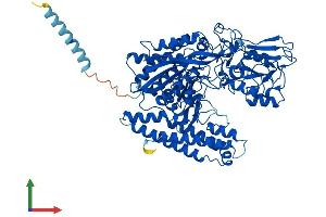 Protein Structure (PS) image for N-Acetylated alpha-Linked Acidic Dipeptidase-Like 1 (NAALADL1) (AA 1-740) protein (His tag) (ABIN7554687)