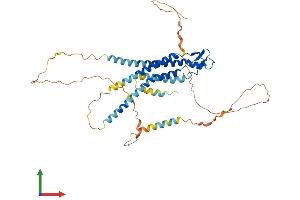 AlphaFold protein structure predicition of Human Recombinant GJA3 Protein, UniprotID Q9Y6H8