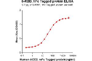 ELISA plate pre-coated by 2 μg/mL (100 μL/well) S-RBD, hFc tagged protein (ABIN6961170) can bind Human ACE2, mFc Tagged protein(ABIN6961130) in a linear range of 0.