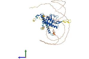 Protein Structure (PS) image for Nucleosome Assembly Protein 1-Like 3 (NAP1L3) (AA 1-544) protein (His tag) (ABIN7558187)