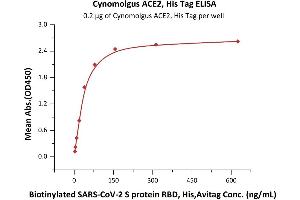 ELISA image for Angiotensin I Converting Enzyme 2 (ACE2) protein (His tag) (ABIN6952617)