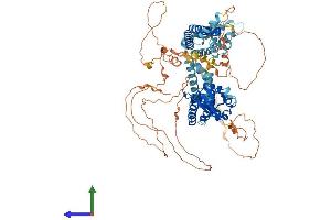 Protein Structure (PS) image for Potassium Voltage-Gated Channel, Shaw-Related Subfamily, Member 3 (KCNC3) (AA 1-769) protein (His tag) (ABIN7563972)