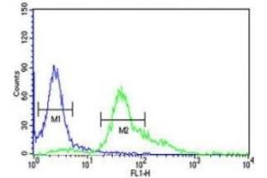S100A6 antibody flow cytometric analysis of HeLa cells (right histogram) compared to a negative control (left histogram).