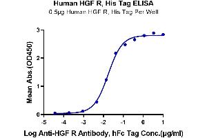 c-MET Protein (AA 25-932) (His-Avi Tag)