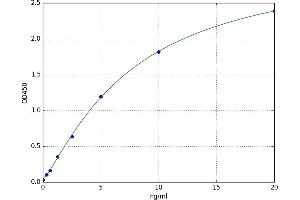 Insulin Receptor Substrate 1 (IRS1) ELISA Kit