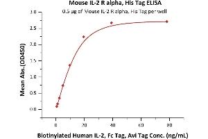 Immobilized Mouse IL-2 R alpha, His Tag (ABIN6731244,ABIN6809868) at 5 μg/mL (100 μL/well) can bind Biotinylated Human IL-2, Fc Tag, Avi Tag (ABIN6731255,ABIN6809921) with a linear range of 0. (CD25 Protein (AA 22-236) (His tag))