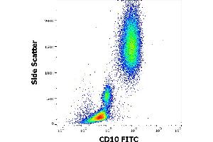 Flow cytometry surface staining pattern of human peripheral whole blood stained using anti-human CD10 (MEM-78) FITC antibody (20 μL reagent / 100 μL of peripheral whole blood).