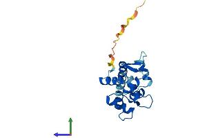 Protein Structure (PS) image for Centrin, EF-Hand Protein, 1 (CETN1) (AA 1-172) protein (His tag) (ABIN7553124)