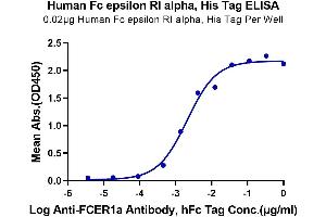 Immobilized Human Fc epsilon RI alpha, His Tag at 0.