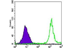 Flow cytometric analysis of Jurkat cells using anti-PARP mAb (green) and negative control (purple).