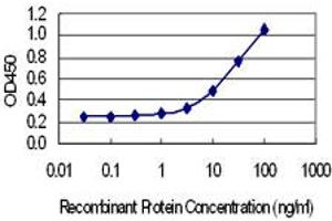 Detection limit for recombinant GST tagged SYT7 is 1 ng/ml as a capture antibody. (SYT7 抗体  (AA 41-139))