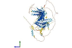 Protein Structure (PS) image for Coiled-Coil and C2 Domain Containing 1B (CC2D1B) (AA 1-848) protein (His tag) (ABIN7558843)