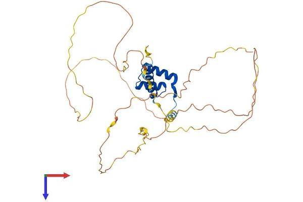 HOXD9 Protein (AA 1-352) (His tag)