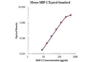 ELISA image for Chemokine (C-X-C Motif) Ligand 2 (CXCL2) ELISA Kit (ABIN3198522)