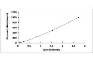 Typical standard curve (CRHBP ELISA 试剂盒)