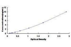 Cyclin A1 (CCNA1) ELISA Kit