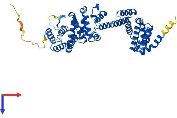 BZW1 Protein (AA 1-419) (His tag)