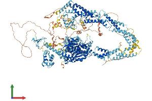 AlphaFold protein structure predicition of Mouse Recombinant Kdm5d Protein, UniprotID Q62240 (KDM5D Protein (AA 1-1548) (His tag))