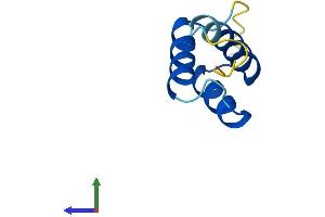 AlphaFold protein structure predicition of Mouse Recombinant Hopx Protein, UniprotID Q8R1H0