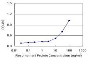Sandwich ELISA detection sensitivity ranging from 10 ng/mL to 100 ng/mL. (HMBS (人) Matched Antibody Pair)