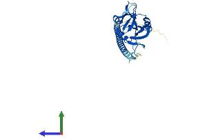 Protein Structure (PS) image for C-Type Lectin Domain Family 1, Member B (CLEC1B) (AA 1-229) protein (His tag) (ABIN7553443)