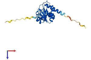 AlphaFold protein structure predicition of Human Recombinant DUSP28 Protein, UniprotID Q4G0W2