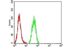 Flow cytometric analysis of Hela cells using SALL4 mouse mAb (green) and negative control (red). (SALL4 抗体  (AA 96-359))