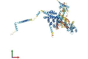 Protein Structure (PS) image for Sorting Nexin 13 (SNX13) (AA 1-968) protein (His tag) (ABIN7555500)