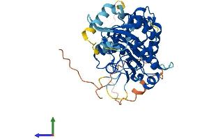 AlphaFold protein structure predicition of Mouse Recombinant Dnmt3l Protein, UniprotID Q9CWR8