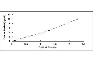 Typical standard curve (ABCB5 ELISA 试剂盒)