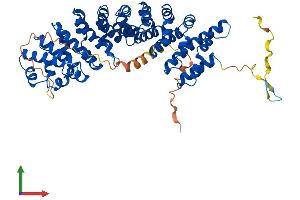 Protein Structure (PS) image for Karyopherin alpha 6 (Importin alpha 7) (KPNA6) (AA 1-536) protein (His tag) (ABIN7554189)