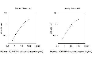 ELISA image for Insulin-Like Growth Factor Binding Protein 4 (IGFBP4) ELISA Kit (ABIN4883276) (IGFBP4 ELISA 试剂盒)