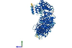 Protein Structure (PS) image for N(alpha)-Acetyltransferase 25, NatB Auxiliary Subunit (NAA25) (AA 1-972) protein (His tag) (ABIN7564449)