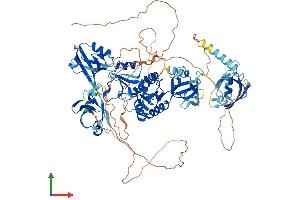 Protein Structure (PS) image for Discs, Large Homolog 2 (DLG2) (AA 1-852) protein (His tag) (ABIN7564813)