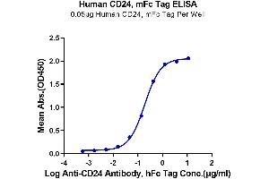 CD24 Molecule (CD24) (AA 27-59) protein (mFc Tag)