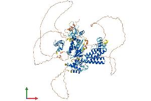 AlphaFold protein structure predicition of Human Recombinant ZBED6 Protein, UniprotID P86452 (Zinc Finger, BED-Type Containing 6 (ZBED6) (AA 1-979) protein (His tag))