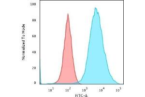 Flow Cytometric Analysis of MeOH-fixed MCF-7 cells using Cytokeratin 19 Mouse Monoclonal Antibody (KRT19/799) followed by Goat anti-Mouse IgG-CF488 (Blue); Isotype Control (Red). (Cytokeratin 19 抗体)