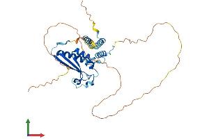 Protein Structure (PS) image for Protein Quaking (QKI) (AA 1-341) protein (His tag) (ABIN7565159)