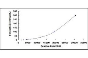 ELISA image for Cartilage Oligomeric Matrix Protein (COMP) CLIA Kit (ABIN1081272)