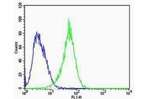 Flow cytometric analysis of U-87 MG cells using RAC1 antibody (green) and an isotype control of mouse IgG2b (blue); Ab was diluted at 1:100 dilution. (RAC1 抗体)
