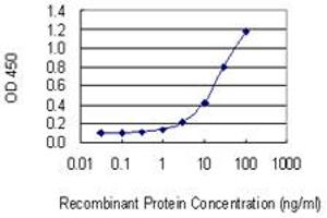 Detection limit for recombinant GST tagged SLC30A5 is 0. (SLC30A5 抗体  (AA 1-118))