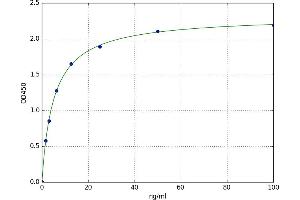 N-MID Osteocalcin ELISA Kit