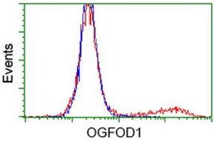 HEK293T cells transfected with either RC206839 overexpress plasmid (Red) or empty vector control plasmid (Blue) were immunostained by anti-OGFOD1 antibody (ABIN2454234), and then analyzed by flow cytometry. (OGFOD1 抗体)