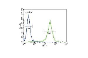 HSD17B12 Antibody (Center) (ABIN653300 and ABIN2842802) flow cytometric analysis of  cells (right histogram) compared to a negative control cell (left histogram). (HSD17B12 抗体  (AA 126-155))