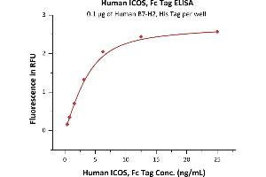 Immobilized Human B7-H2, His Tag (ABIN2181242,ABIN2181241) at 1 μg/mL (100 μL/well) can bind Human ICOS, Fc Tag (ABIN6731300,ABIN6809913) with a linear range of 0. (ICOS Protein (AA 21-141) (Fc Tag))
