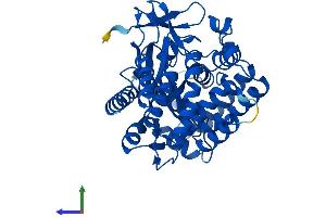 Protein Structure (PS) image for SET and MYND Domain Containing 3 (SMYD3) (AA 1-428) protein (His tag) (ABIN7560678)