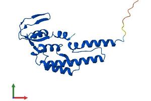 Protein Structure (PS) image for GINS Complex Subunit 2 (Psf2 Homolog) (GINS2) (AA 1-185) protein (His tag) (ABIN7561029)