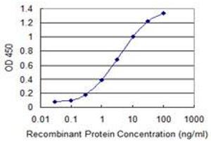 Detection limit for recombinant GST tagged TFB2M is 0. (TFB2M 抗体  (AA 297-396))