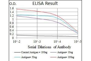 Image no. 1 for anti-Myeloproliferative Leukemia Virus Oncogene (MPL) antibody (ABIN1497161) (MPL 抗体)