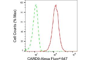 anti-Caspase Recruitment Domain Family, Member 9 (CARD9) antibody